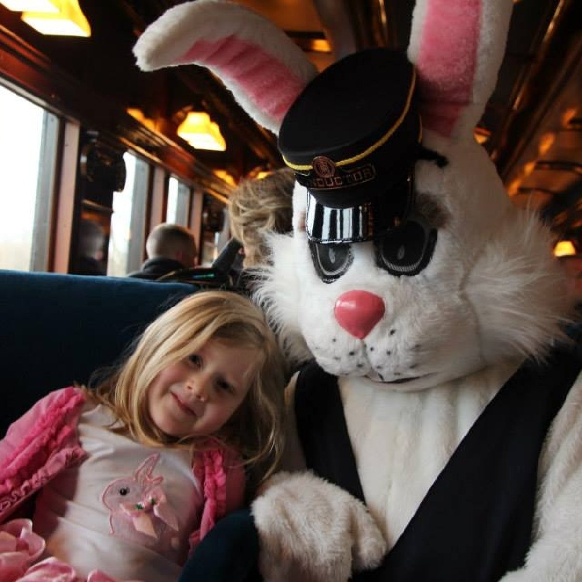 a group of stuffed animals sitting next to a person