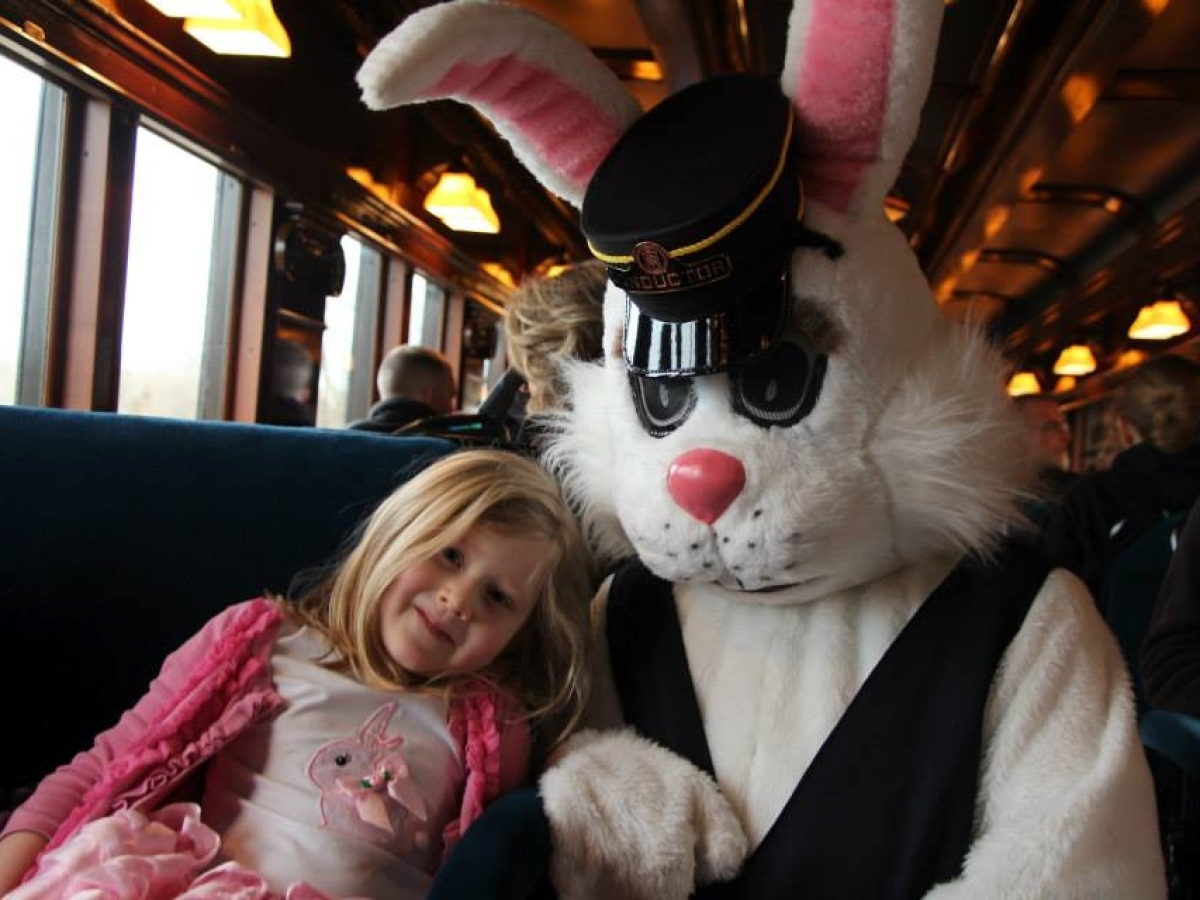a group of stuffed animals sitting next to a person