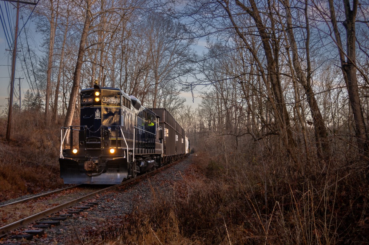 IMG_1442-2 a train traveling down train tracks near a forest