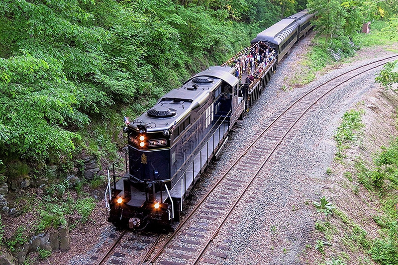a train traveling down train tracks near a forest