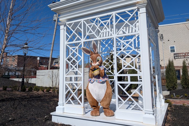 Person in rabbit costume holding an egg under a white gazebo structure on a clear day.