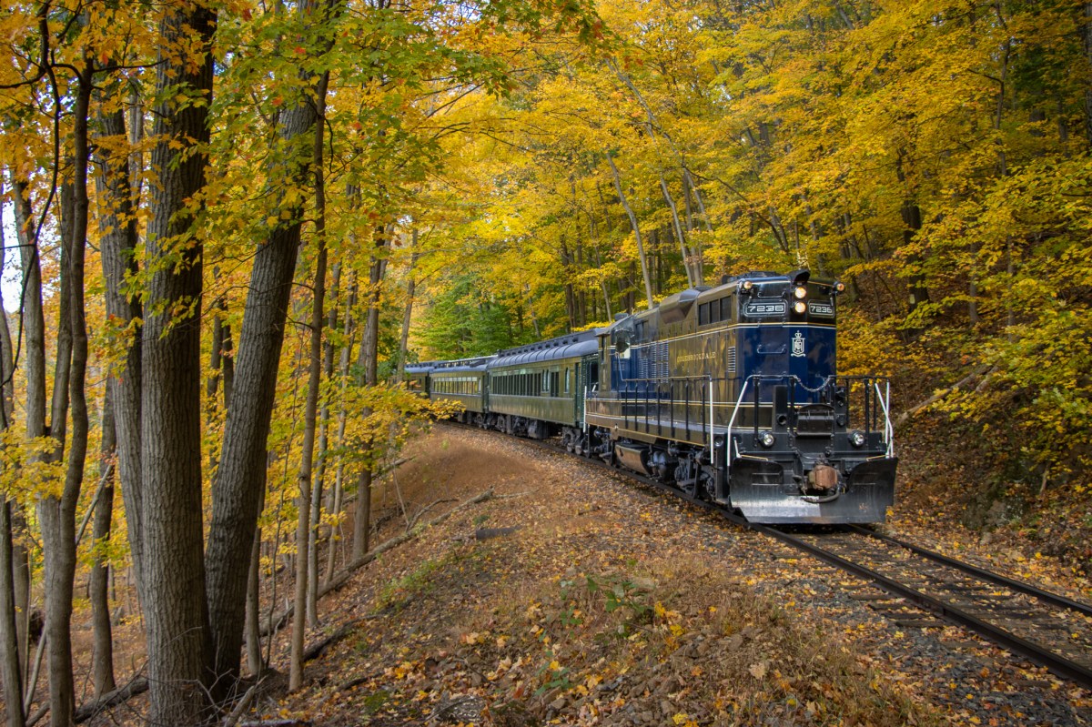 IMG_9979-2 a train traveling down train tracks near a forest