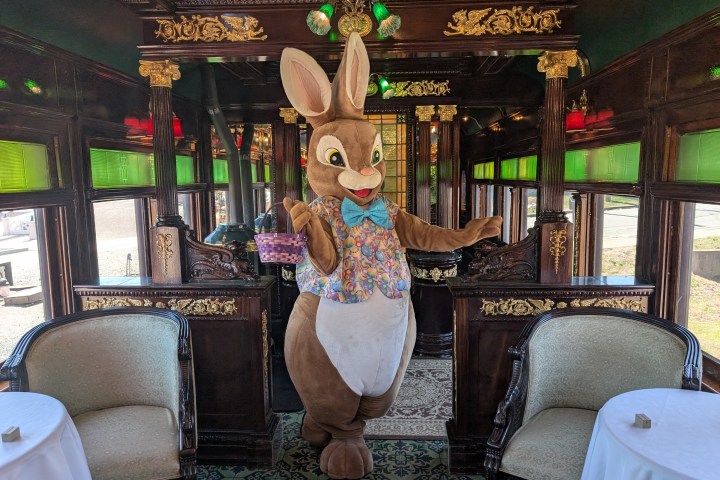 Person in a bunny costume holding a basket inside an ornately decorated train car.