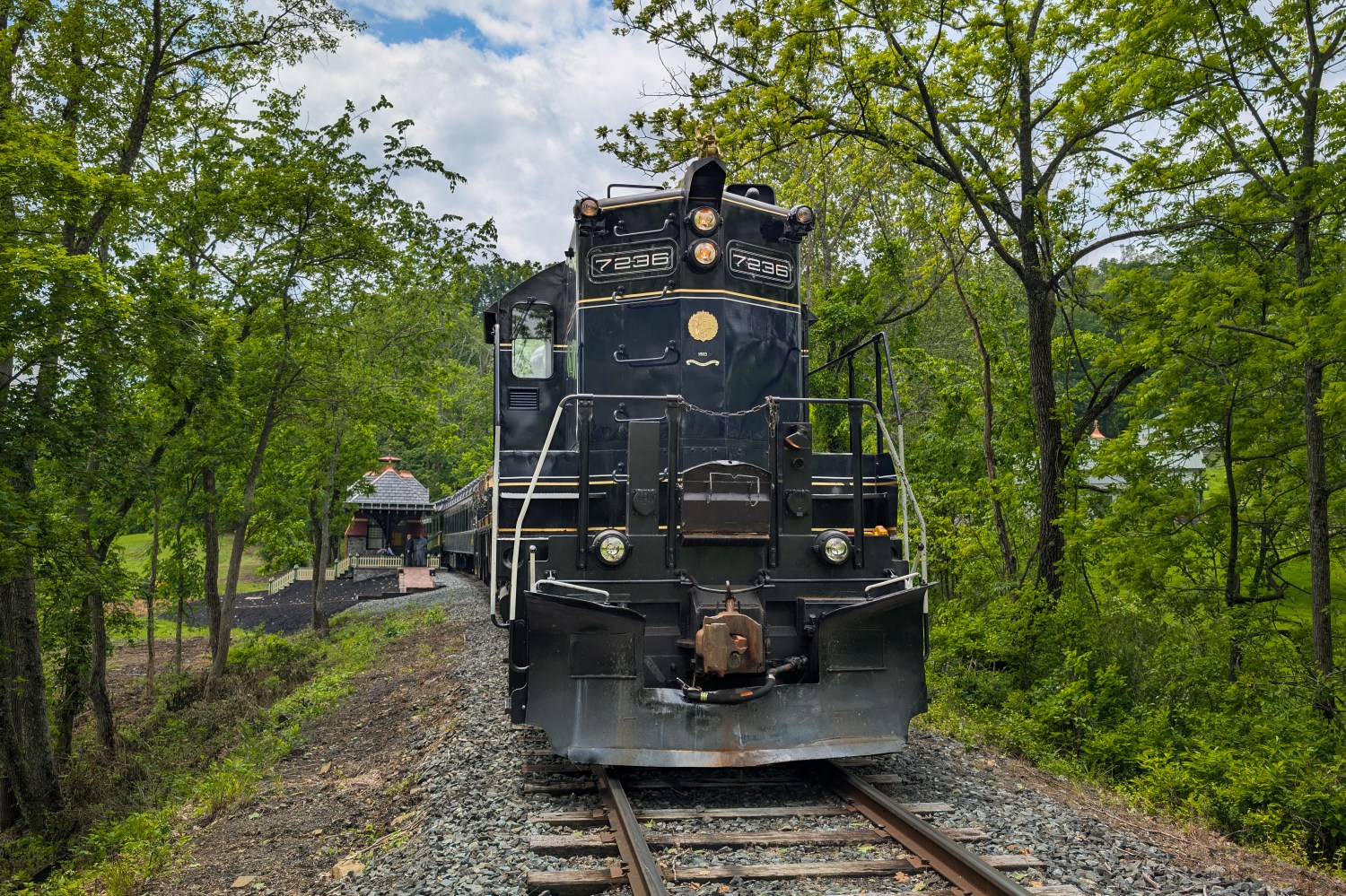 Front view of a black train on tracks surrounded by trees and greenery.